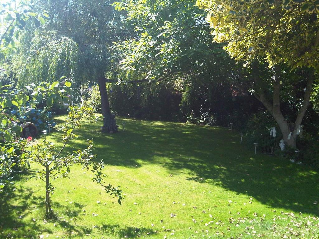 James Cottage Guest House Кріфф Екстер'єр фото